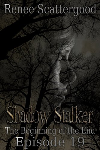Shadow Stalker: The Beginning of the End (Episode 19) (Shadow Stalker Part 4)